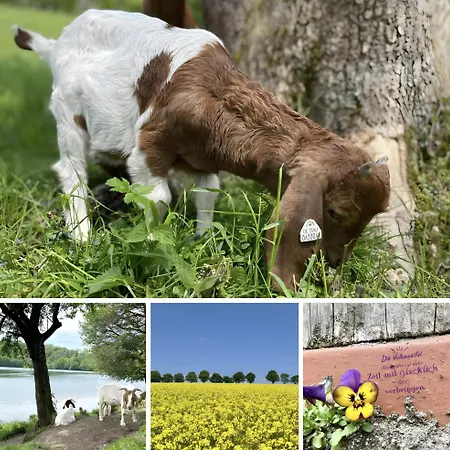 Kleine Auszeit Eifel Nyaraló Udler