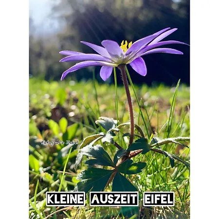 Nyaraló Kleine Auszeit Eifel *